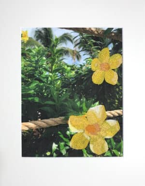 thread painted photo of yellow flowers in Caribbean