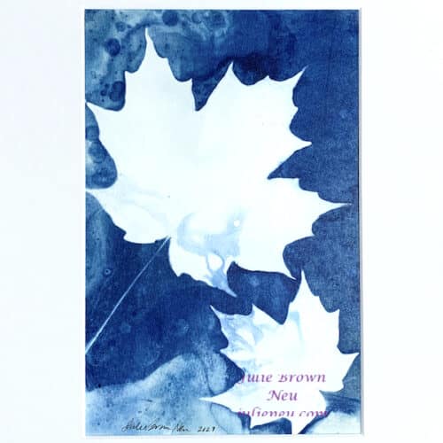 cyanotype of two maple leaves