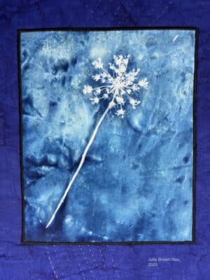 blue cyanotype image of white flowr