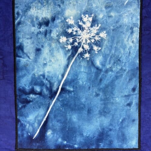 blue cyanotype image of white flowr